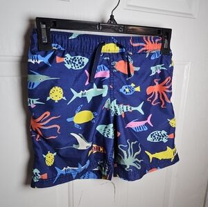 Hanna Andersson Swim Trunks